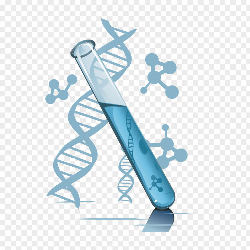 Vector Chemical Elements Test Tube DNA Paternity Testing Laboratory Element PNG