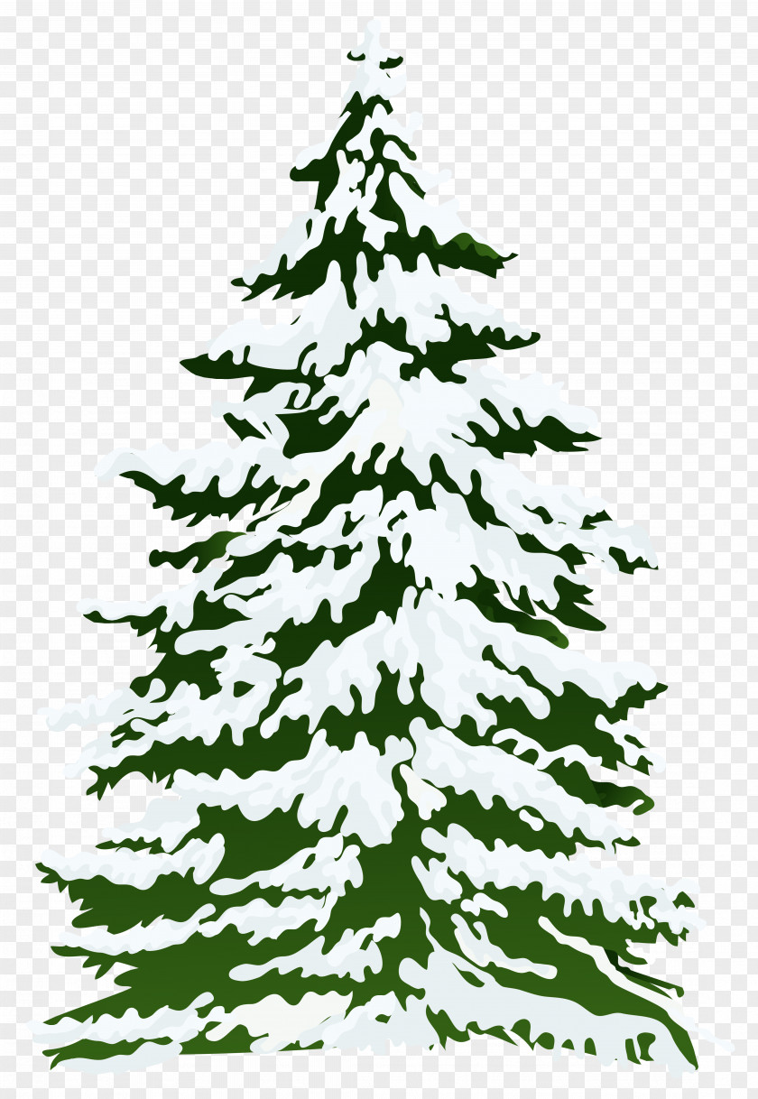 Winter Snowy Pine Tree Clipart Image Snow Clip Art PNG