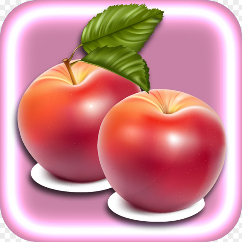 Apple Fruit Clip Art PNG