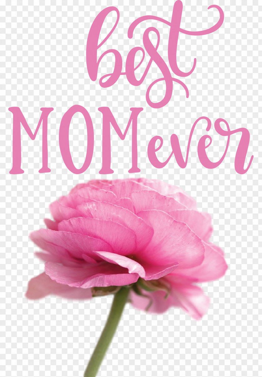 Mothers Day Best Mom Ever Quote PNG