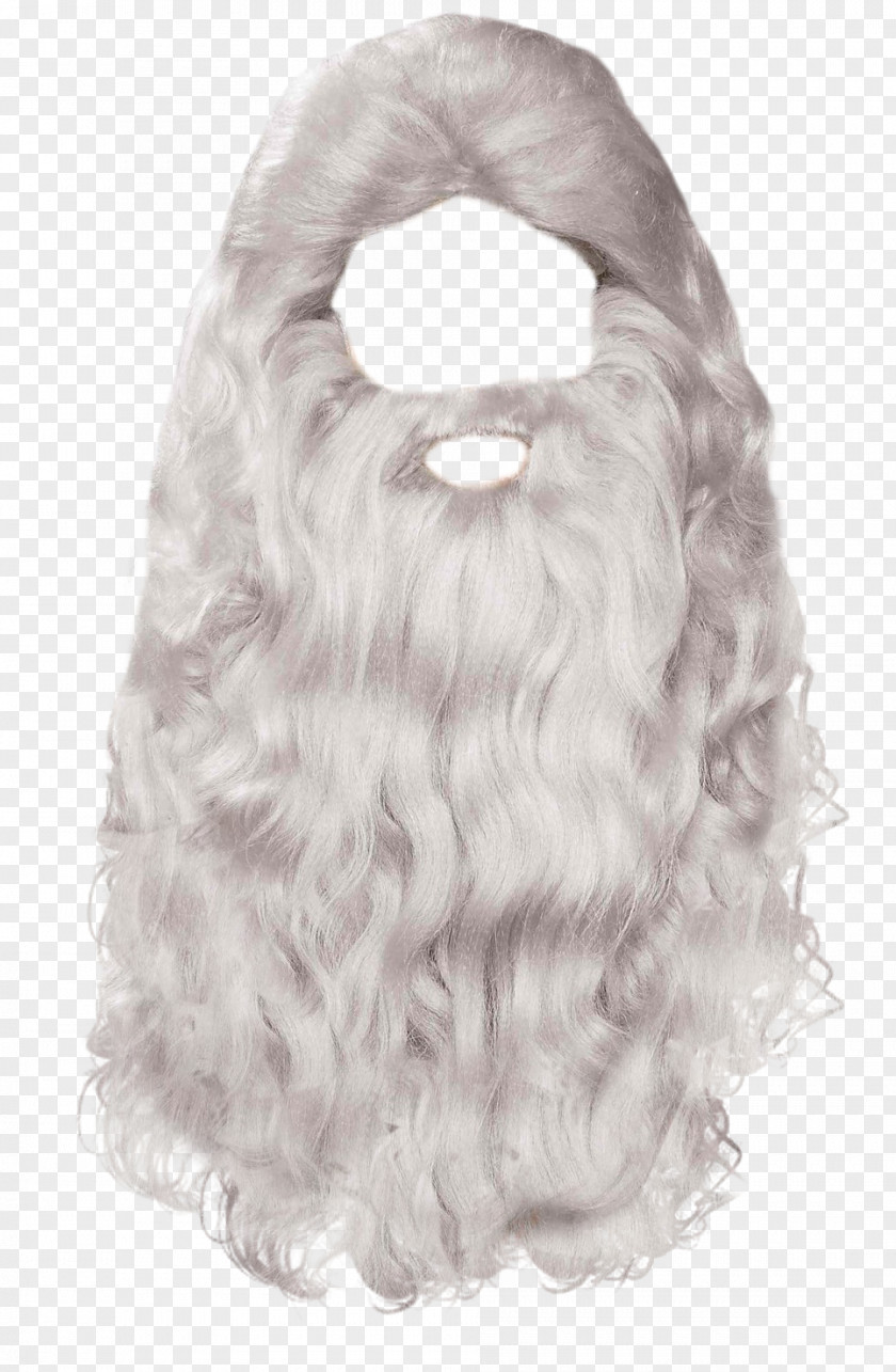 Beard Santa Claus Mrs. PNG