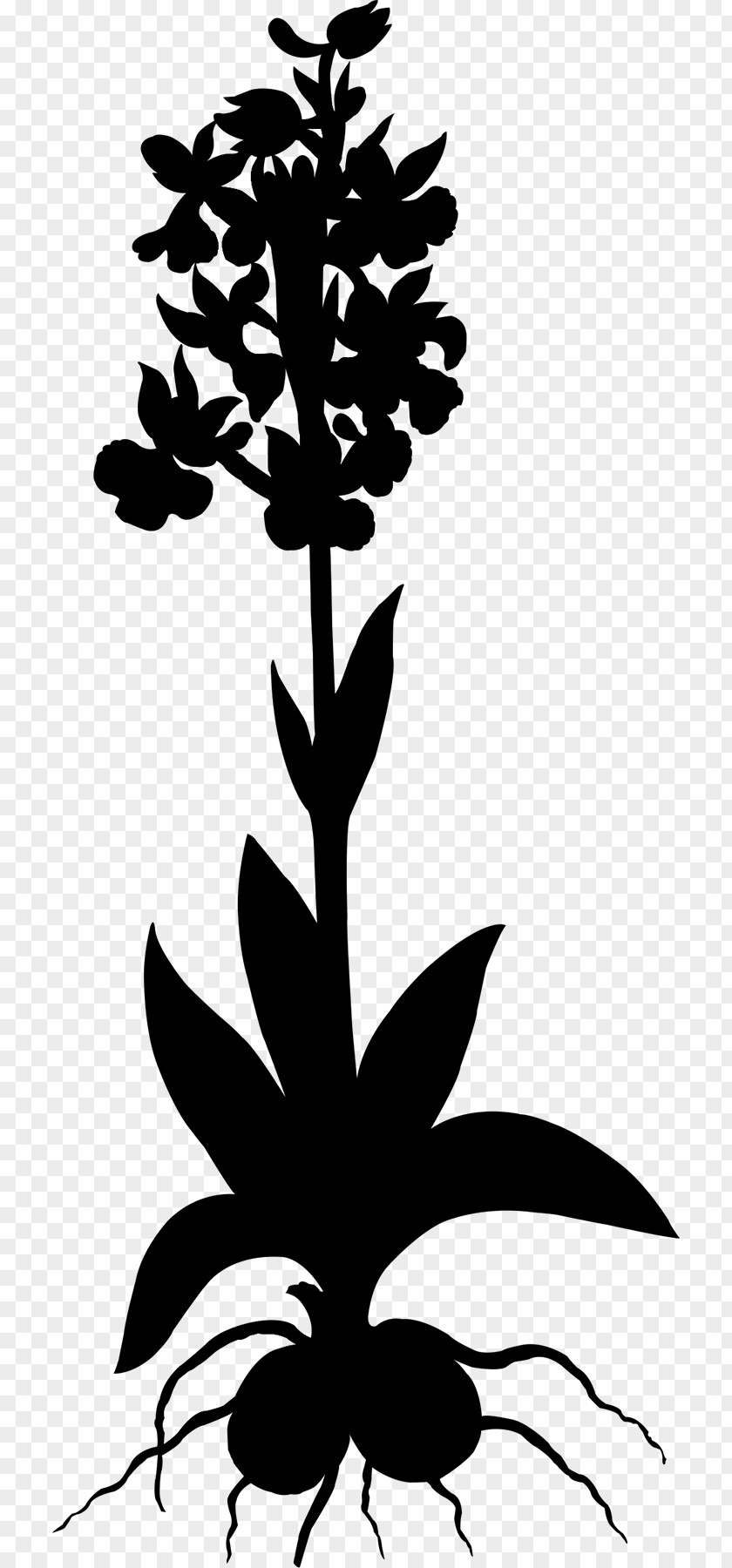Leaf Floral Design Clip Art Plant Stem PNG