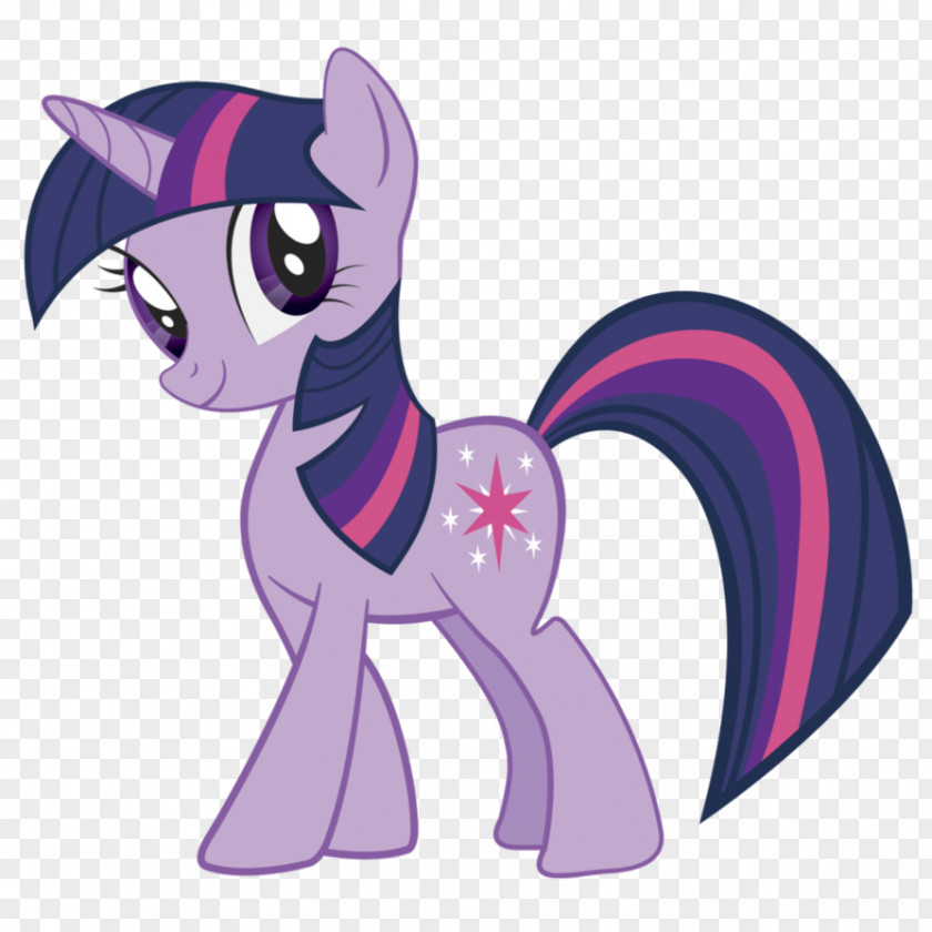 My Little Pony Twilight Sparkle Rainbow Dash Pinkie Pie Rarity PNG