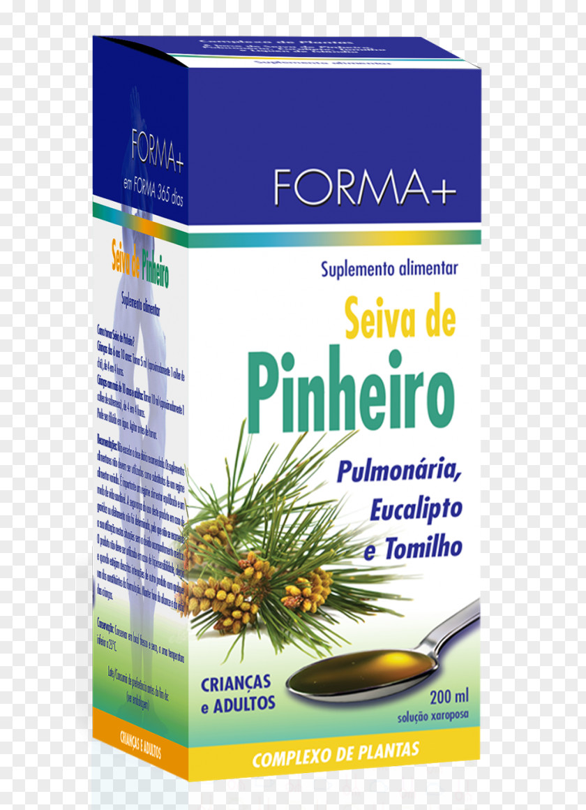 Plant Pine Sap Syrup Cough PNG