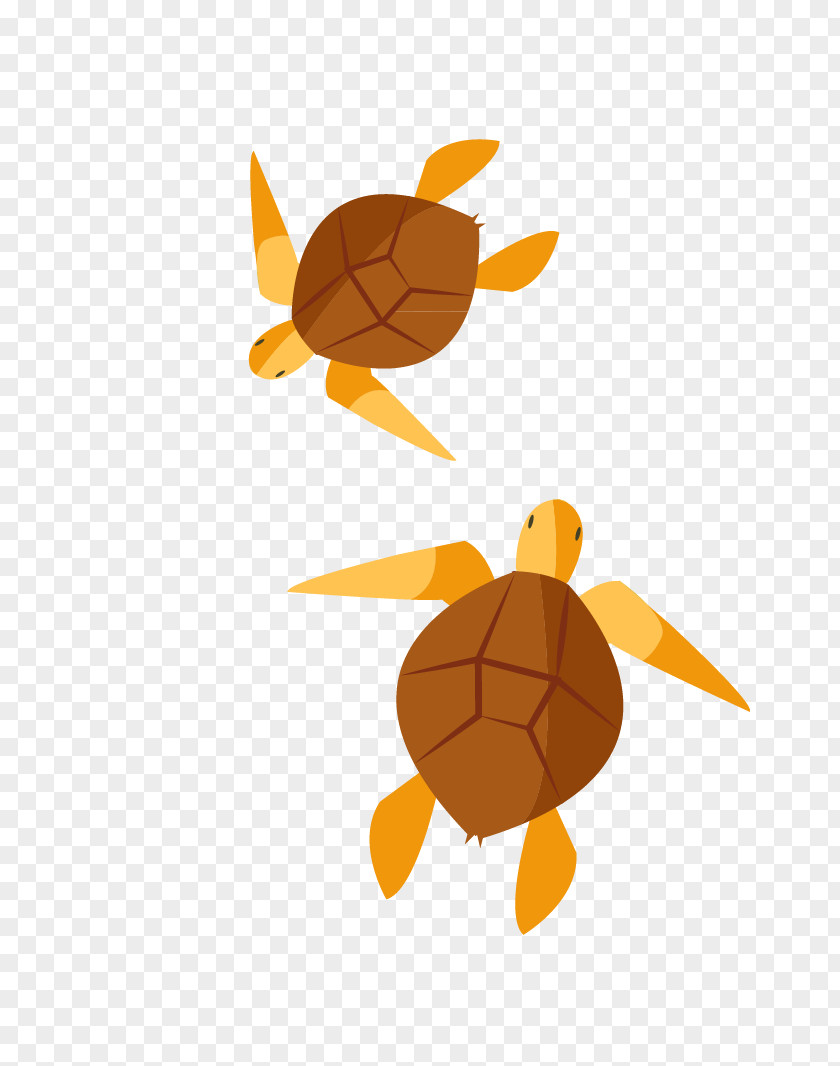 Vector Painted Turtle Clip Art PNG