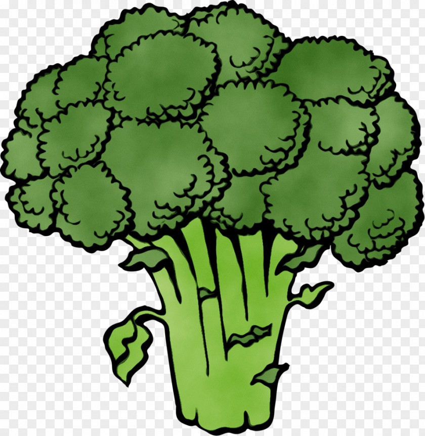 Vegetable Flower Green Cruciferous Vegetables Leaf Plant Clip Art PNG