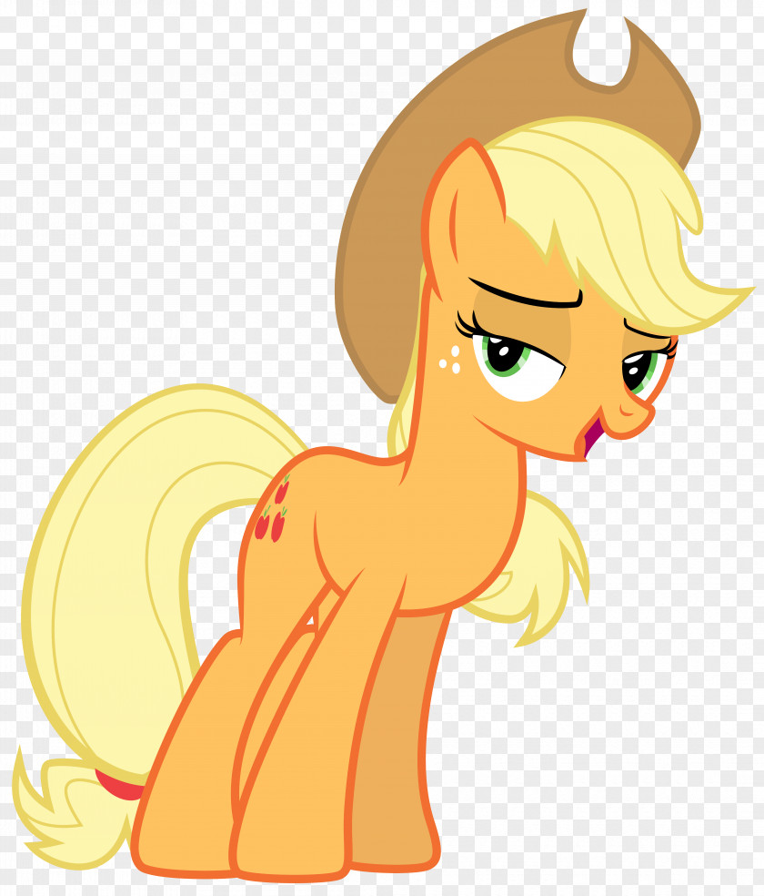 Applejack Rarity Fluttershy Rainbow Dash Pony PNG