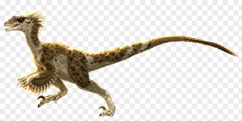 Bearded Dragon Velociraptor Primal Carnage: Extinction Dinosaur Feather PNG