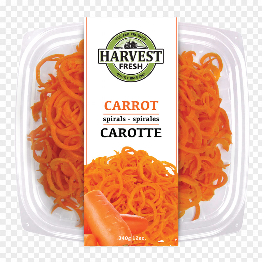 Carrot Watercolor Bucatini Capellini Spaghetti Pici Shirataki Noodles PNG