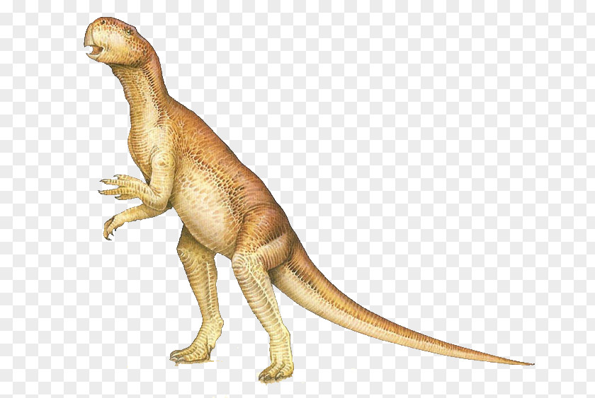 Cute Dinosaur Psittacosaurus Triceratops Tyrannosaurus Brachiosaurus Sauropoda PNG
