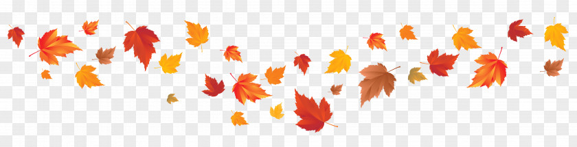 Fall Autumn Leaf Color Clip Art PNG