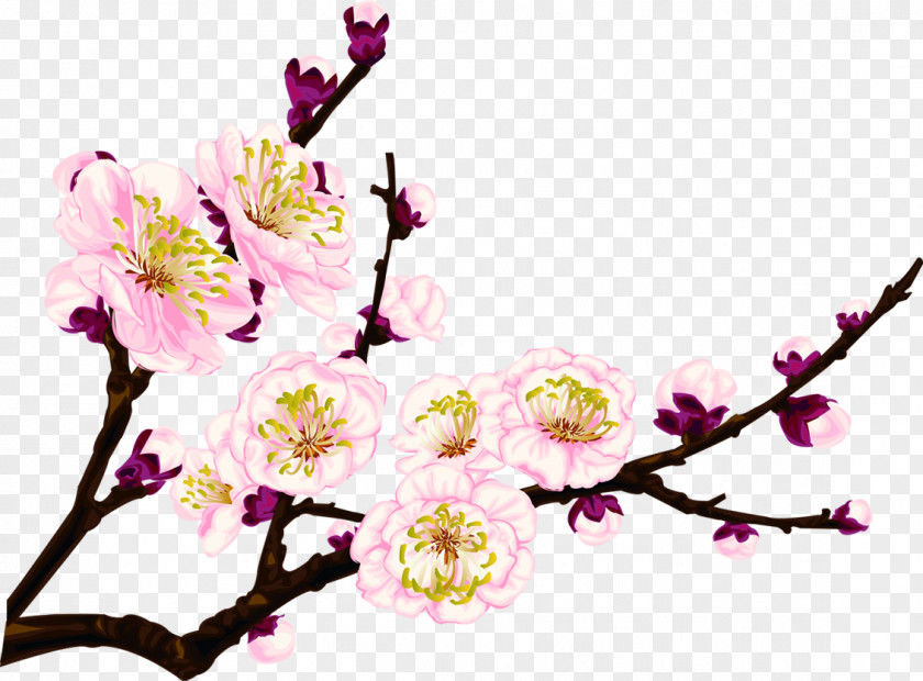 Pink Peach Branches Clip Art PNG