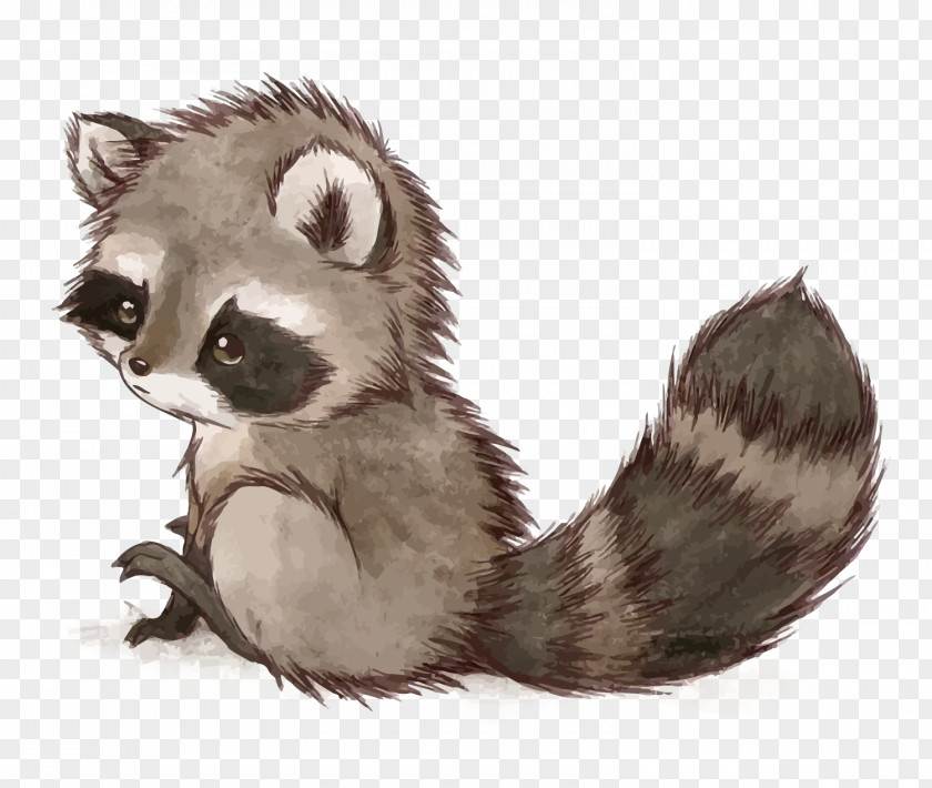 Vector Small Raccoon Squirrel Drawing Cuteness Cat PNG