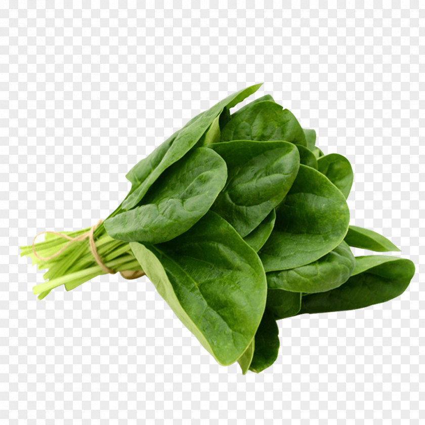 Vegetable Spinach Dip Salad Greens PNG