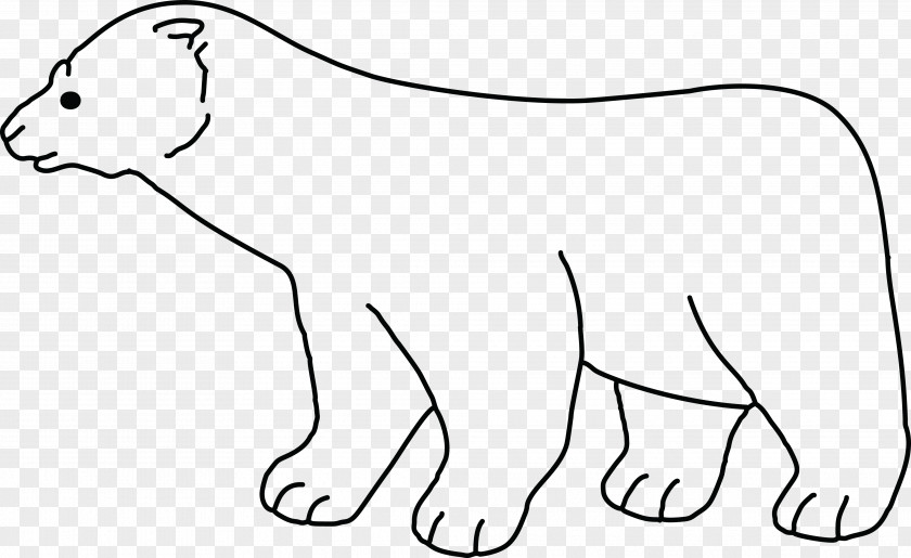 Bear Polar Whiskers Line Art Cat PNG