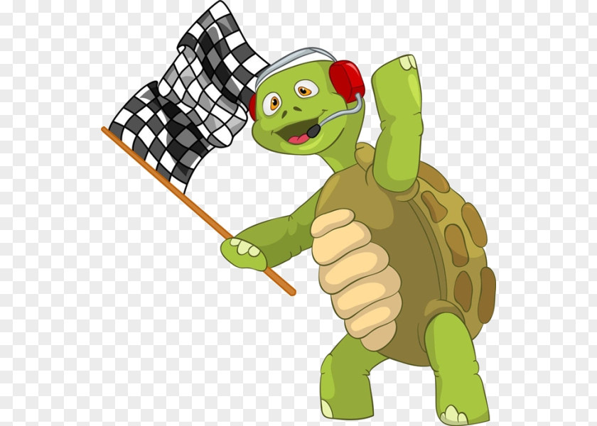 Cartoon Turtle Flag Euclidean Vector Illustration PNG