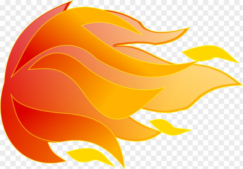 Fire Clip Art PNG