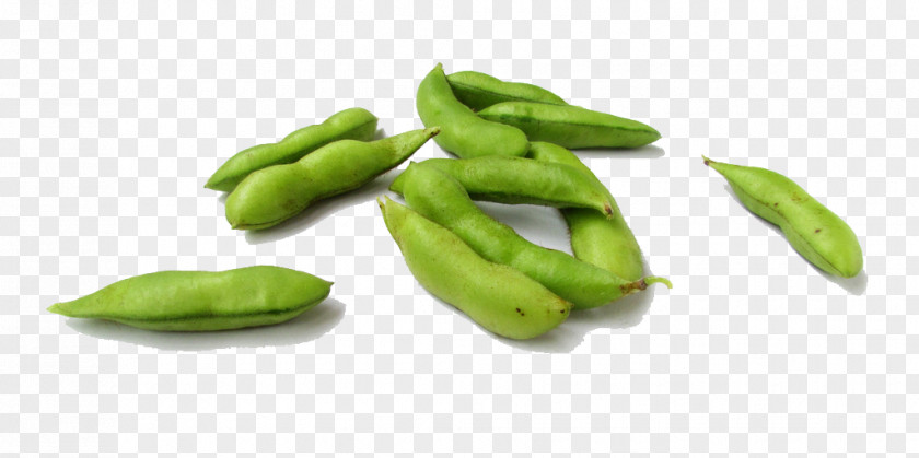 Green Peas Pea Edamame Vegetarian Cuisine Soybean PNG