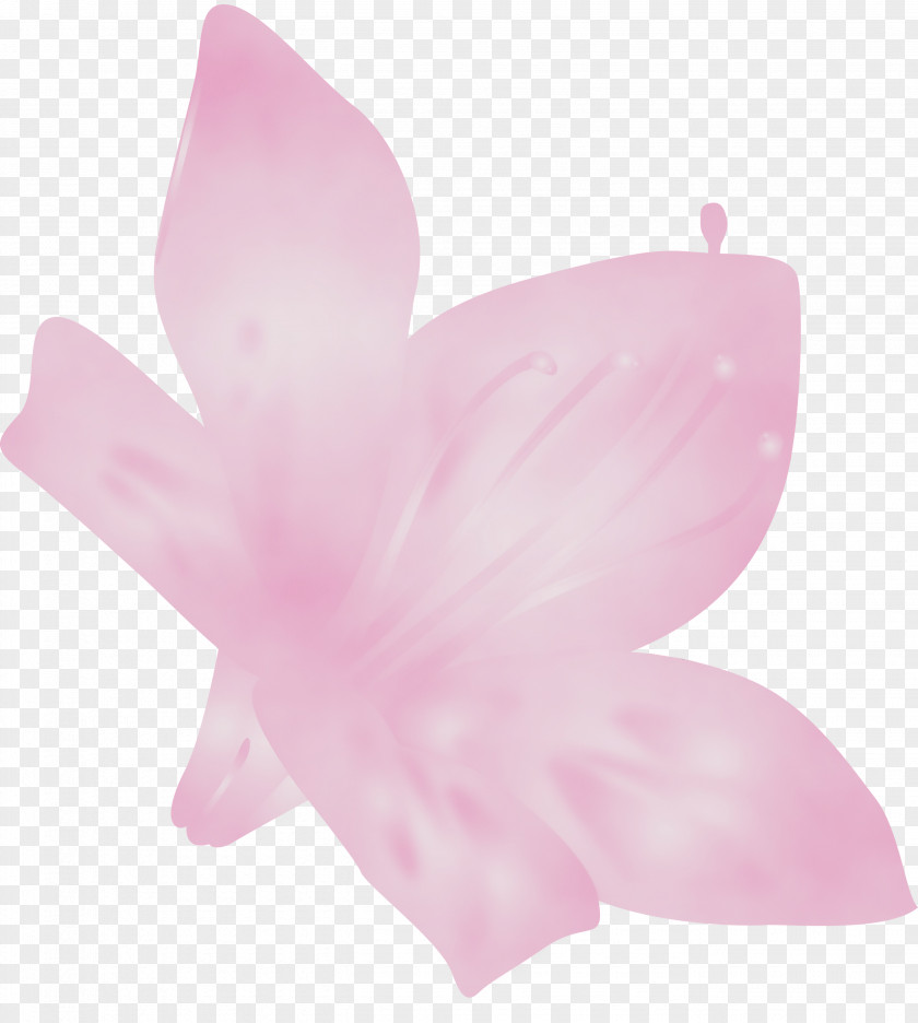 Pink Petal Flower Plant Herbaceous PNG