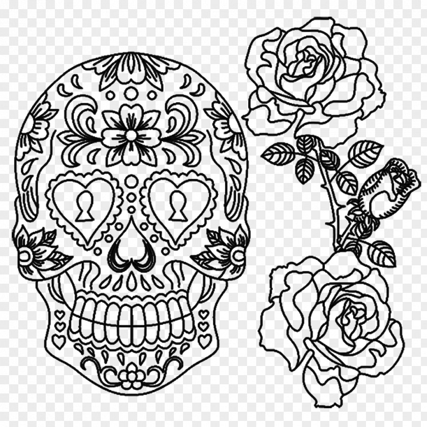 Skull Visual Arts Jaw Line Art PNG