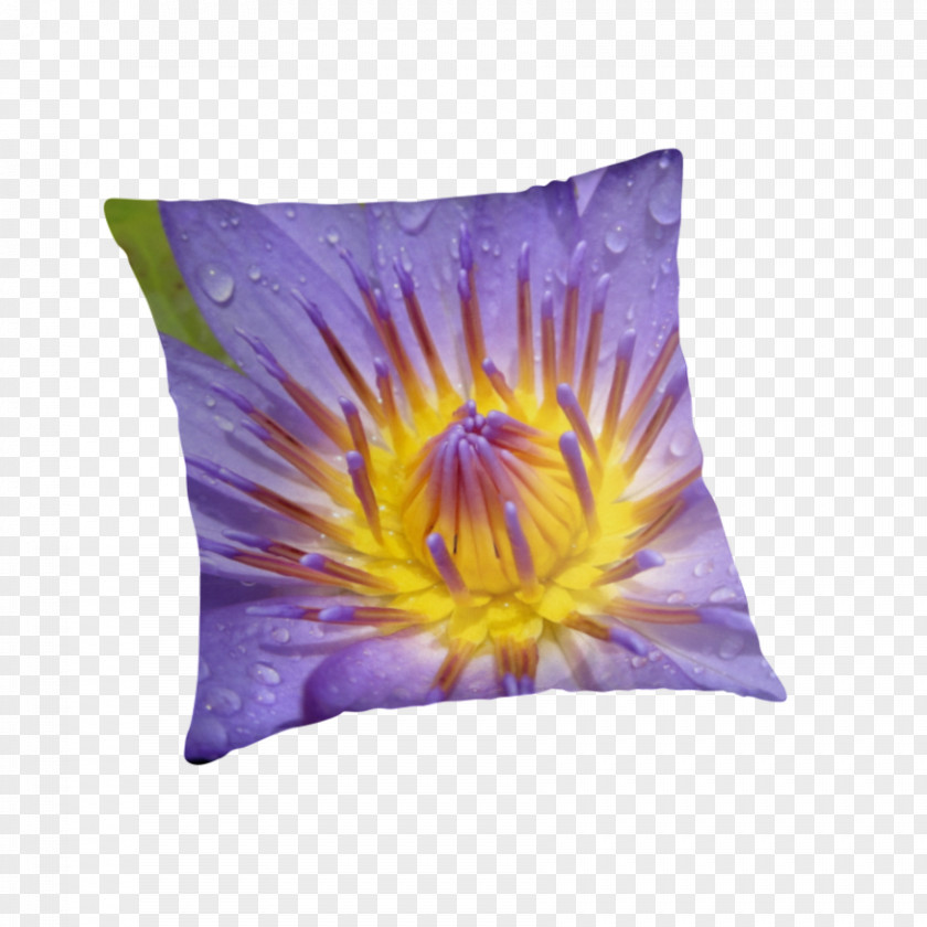 Water Droplets Thrown Poster Material Cushion Throw Pillows Violet Dye PNG