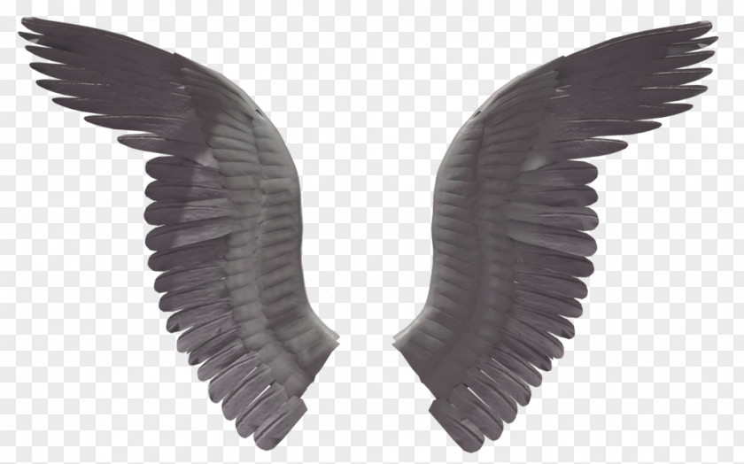 Angel Halo Clip Art PNG