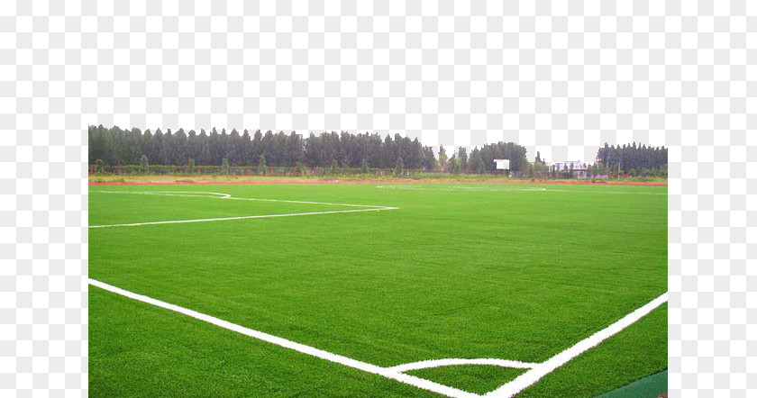 Applicable To Soccer Fields Such As Lawn Football Pitch Artificial Turf PNG