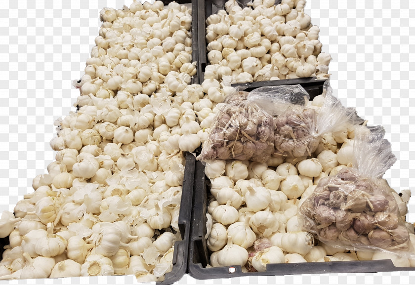 Coriender Mbulu District Nia Yetu Garlic Onion 0 PNG