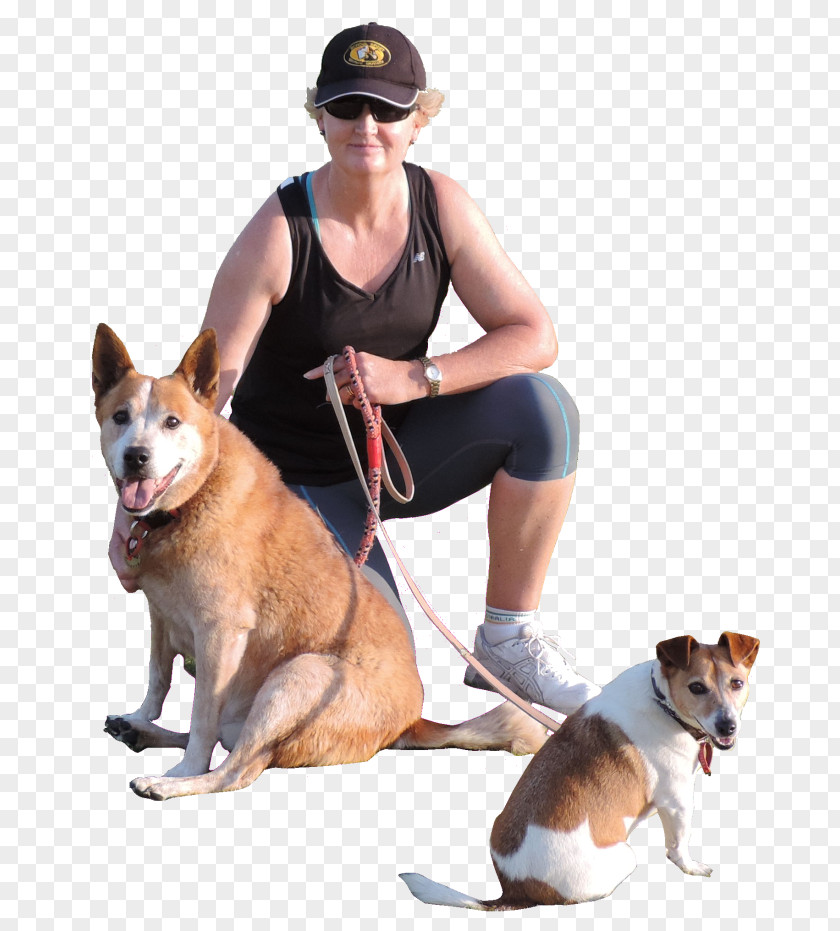 Dog Breed Companion Leash Walking PNG