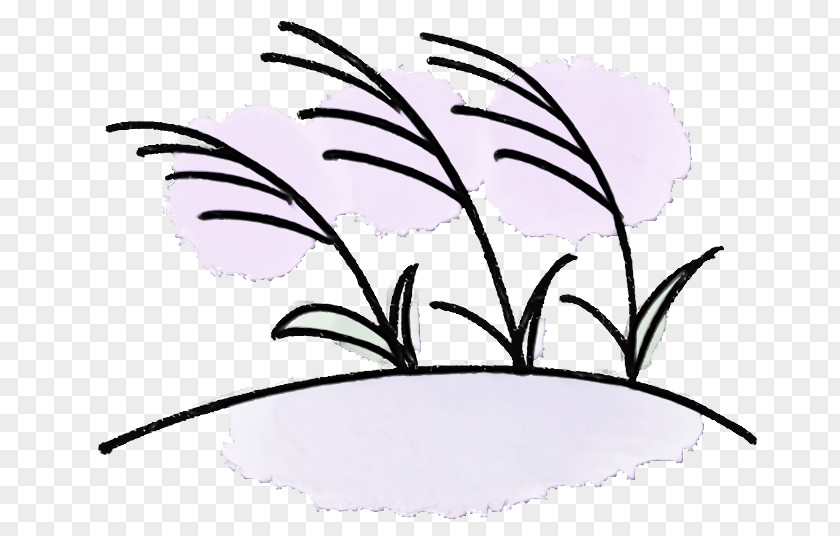 Feather PNG