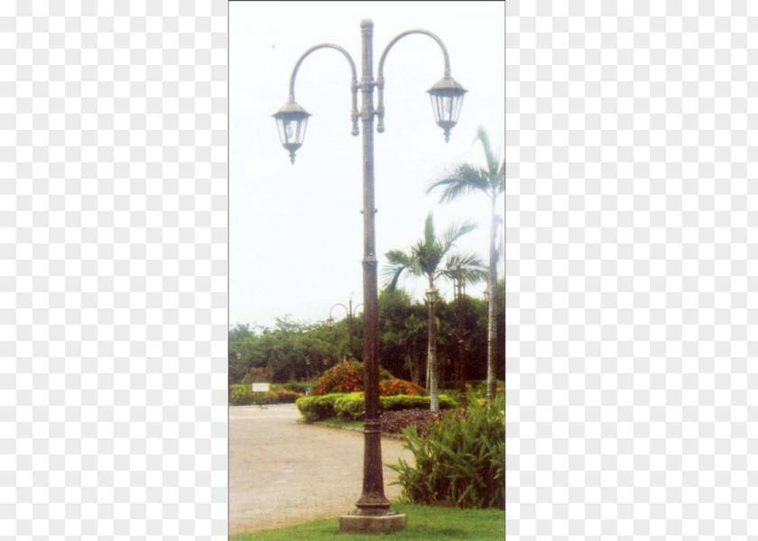 Street Light Lamp Utility Pole Pt. Indalux PNG