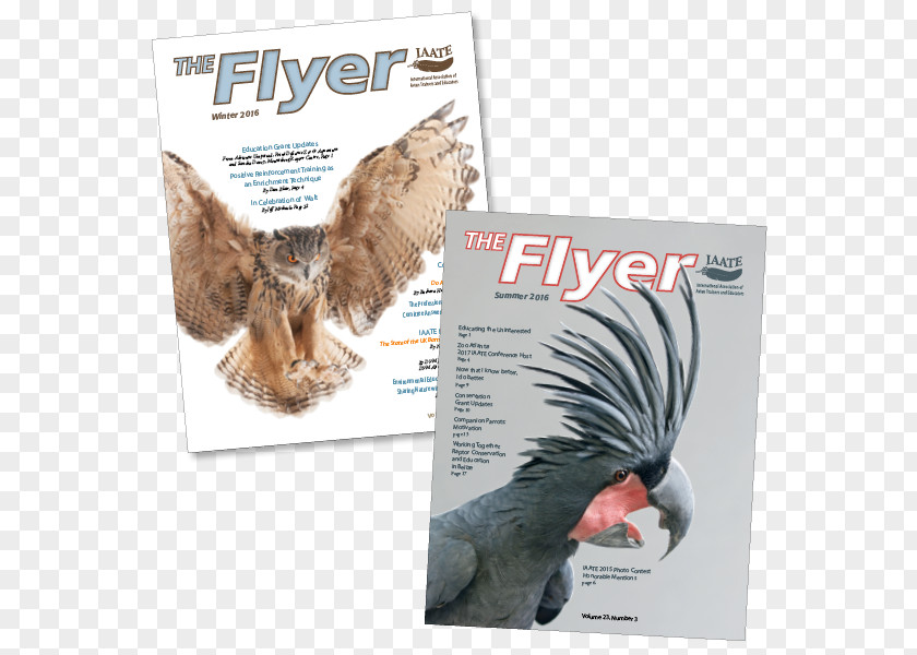 Unique Flyer Crow Creative Publication Organization Printing Book PNG