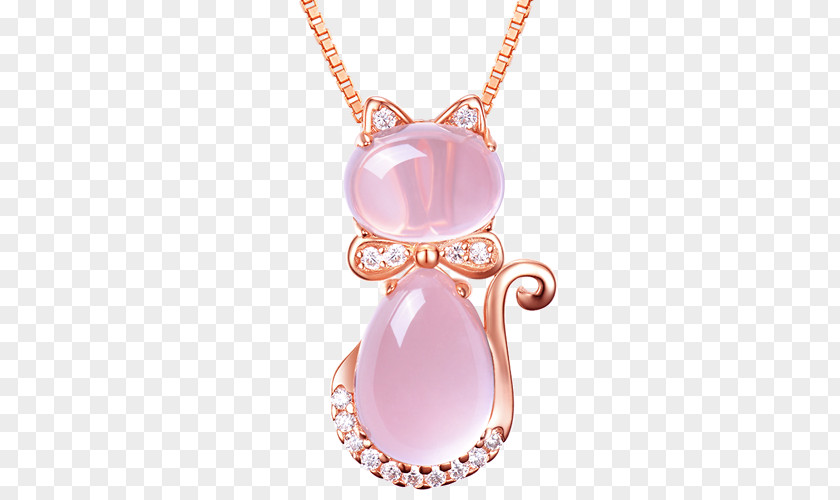 Pink Cat Necklace Pendant Jewellery Chain PNG