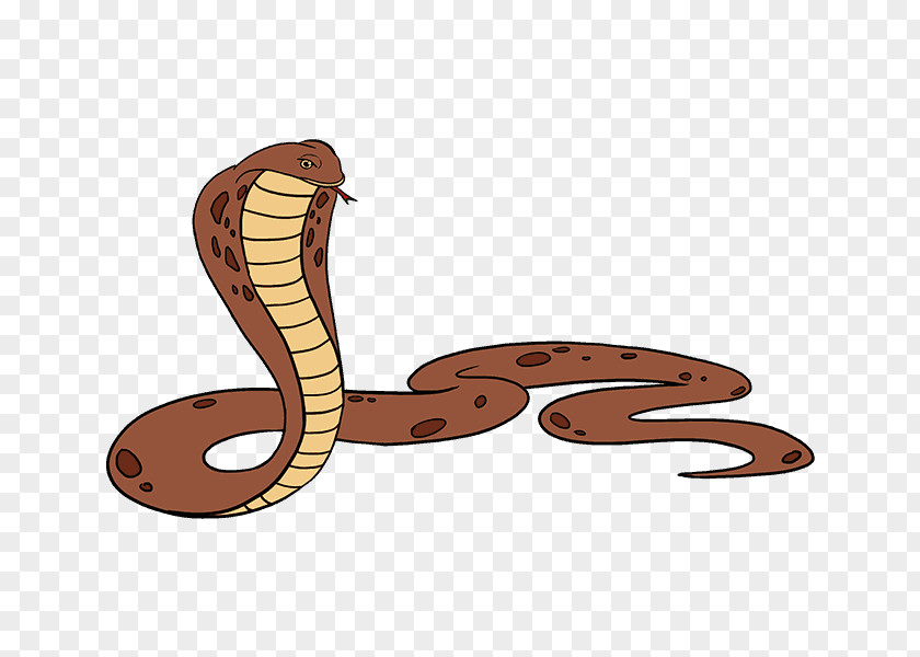 Snake Drawing King Cobra PNG