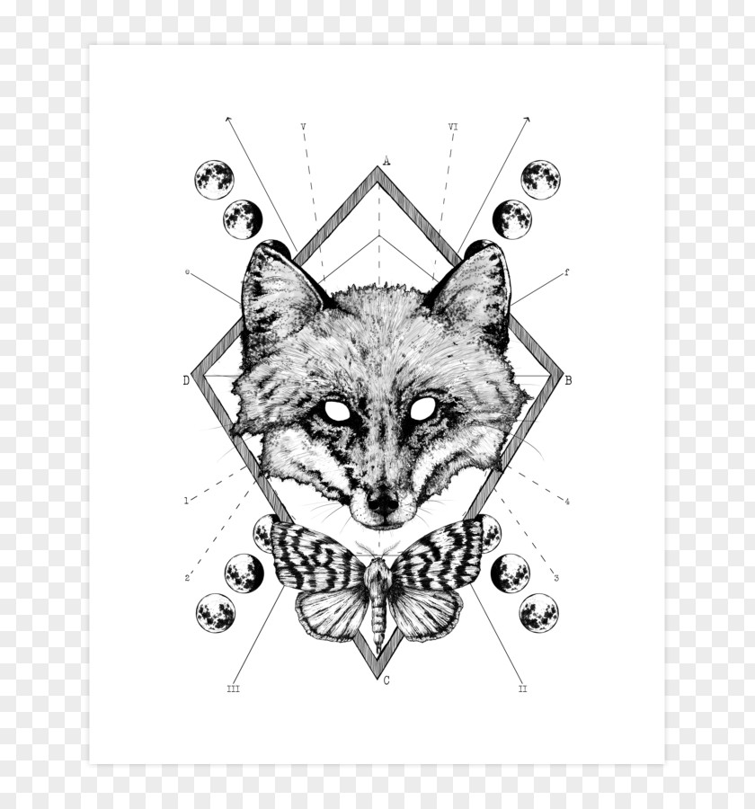 T-shirt Hoodie Red Fox Whiskers PNG