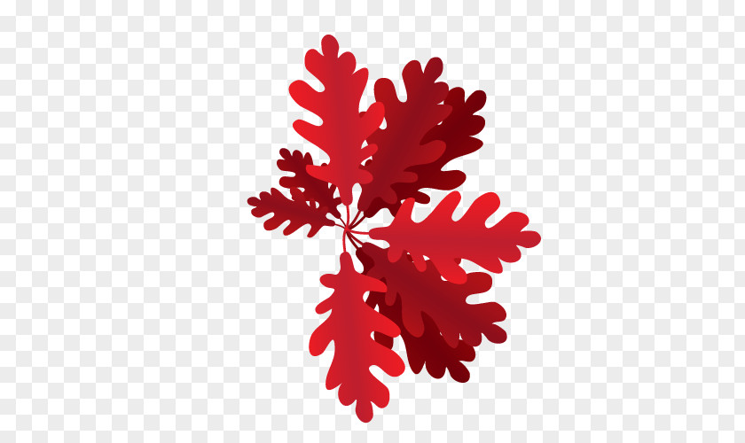 Vector Red Leaf Orange Illustration PNG