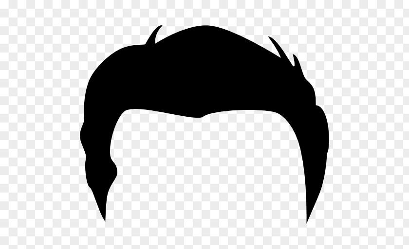 Wig Black Hair Hairstyle Clip Art PNG