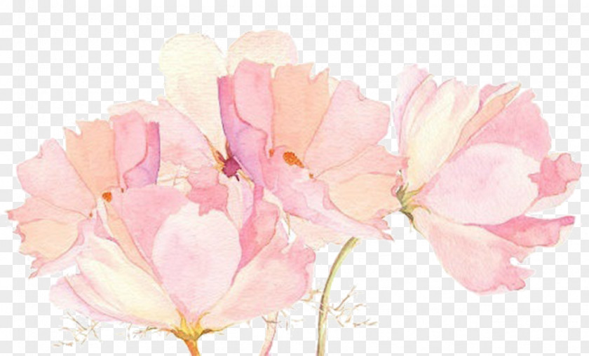 Literary Beautiful Pink Flower Painted Decoration Drawings Watercolor Painting PNG