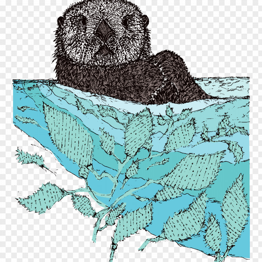 Otter Bird Owl Sea PNG