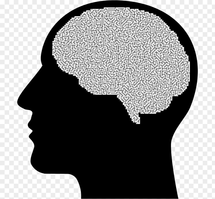 Brain The Female Human Head PNG