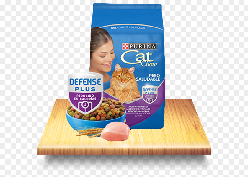 Cat Food Dog Chow Kitten PNG