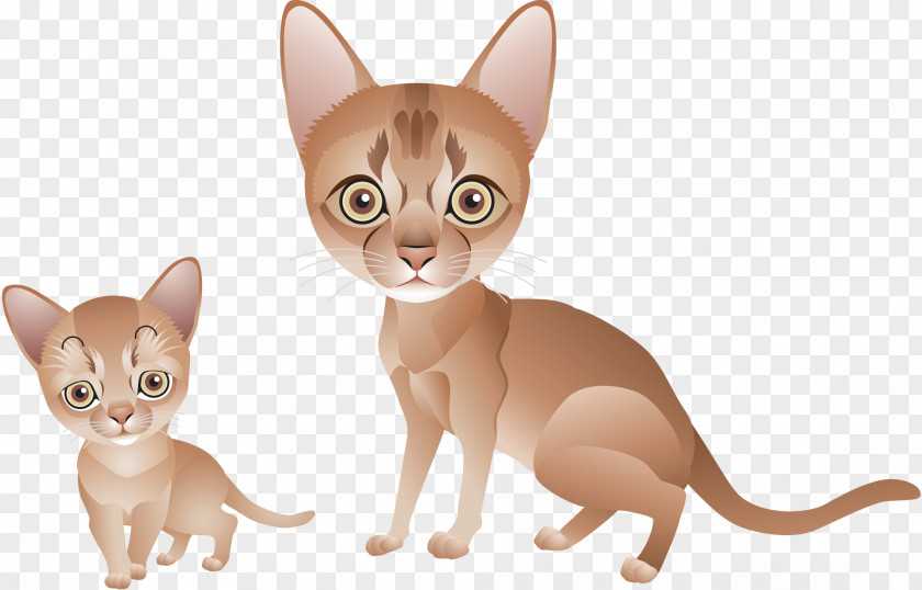Kitten Vector Singapura Cat Abyssinian Whiskers Paw PNG