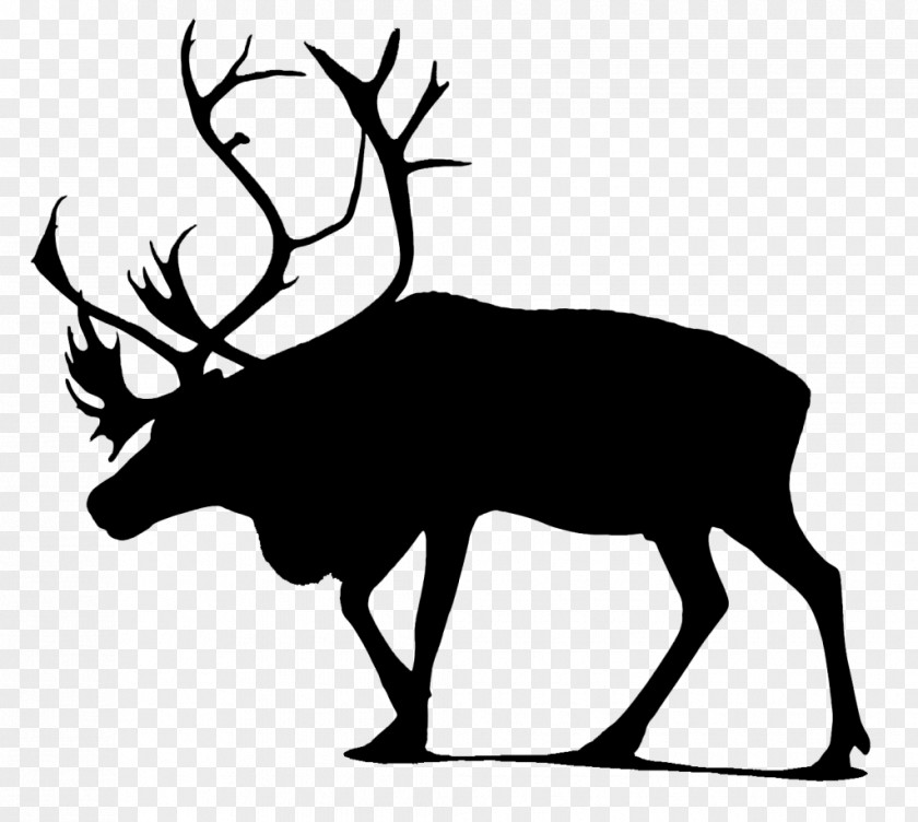 Moose Vector Graphics Stock Photography Illustration PNG