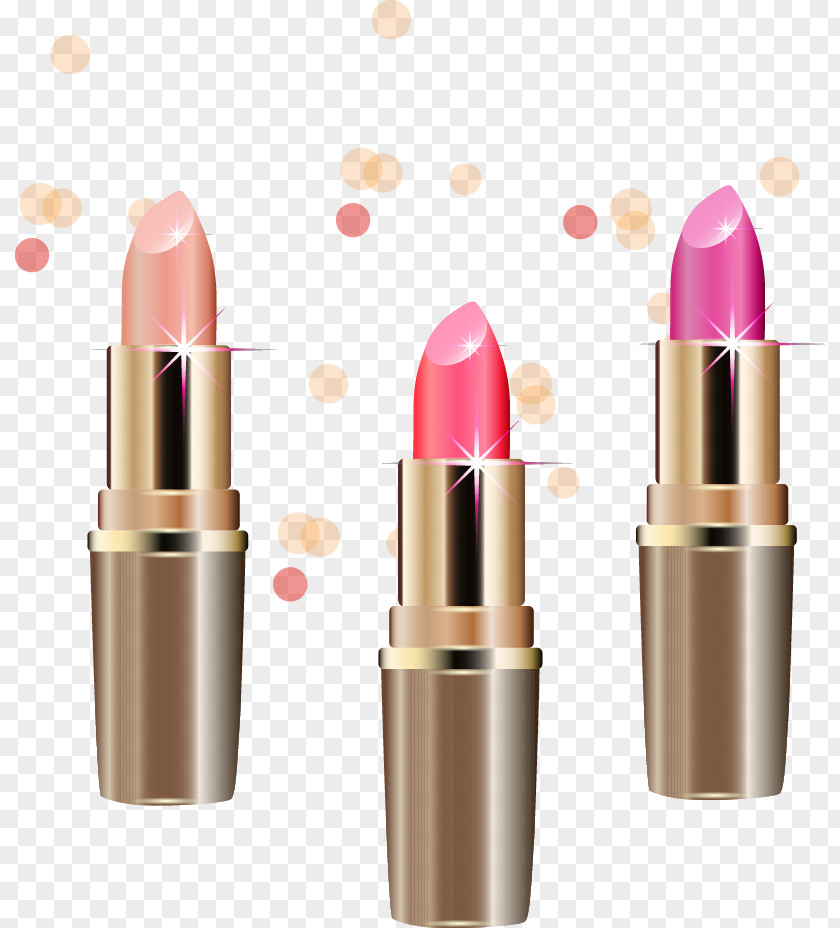 Vector Lipstick Make-up PNG