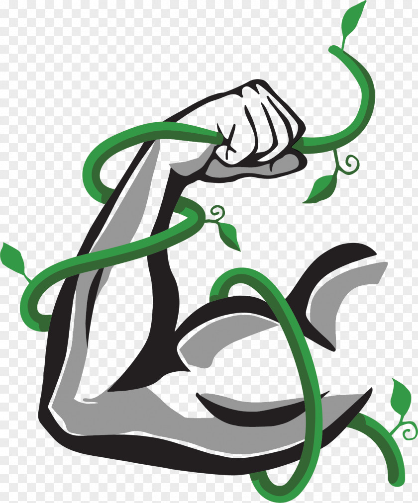 Beanstalk Symbol Payment Product Design Illustration PNG