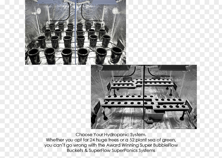 Building Growroom Grow Box Hydroponics PNG