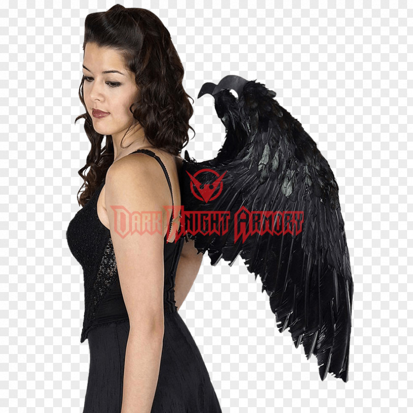 Fairy Feather Maleficent Wing Bird PNG