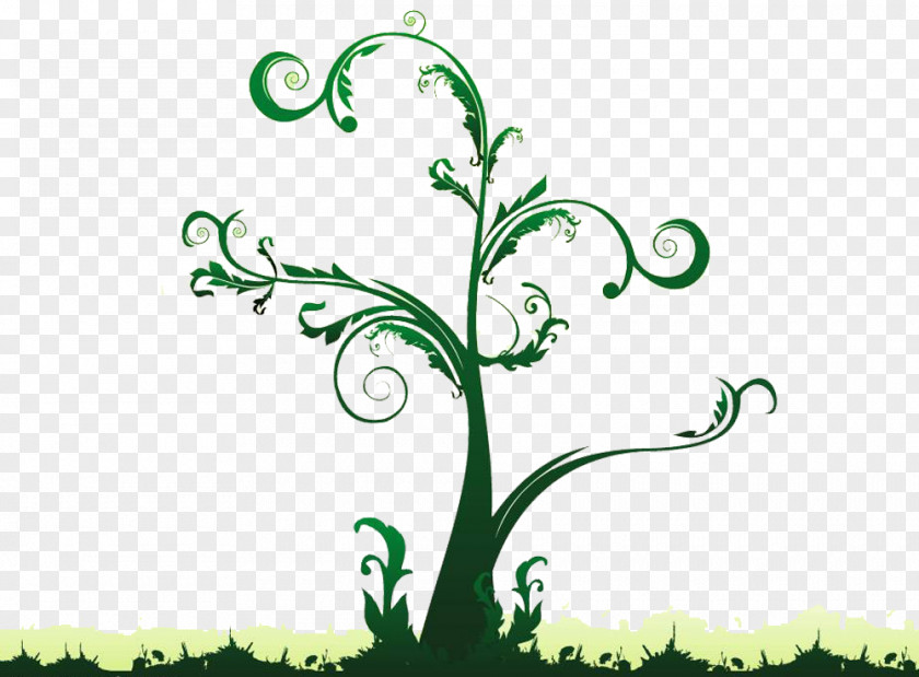 Green Concise Dream Tree Photography PNG