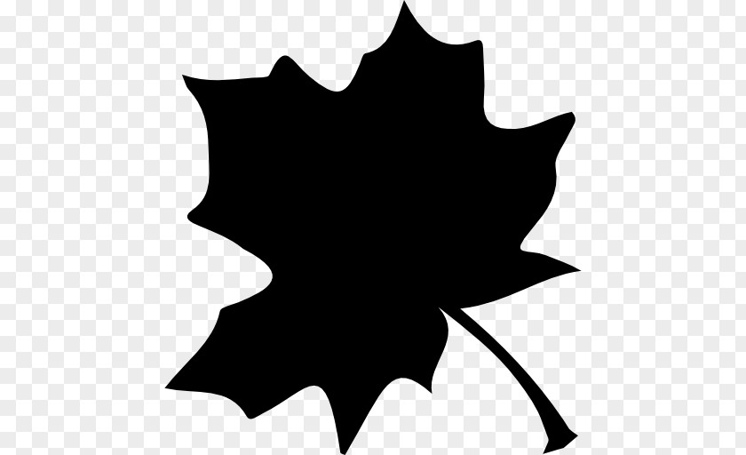 Leaf Maple Tree Shape PNG