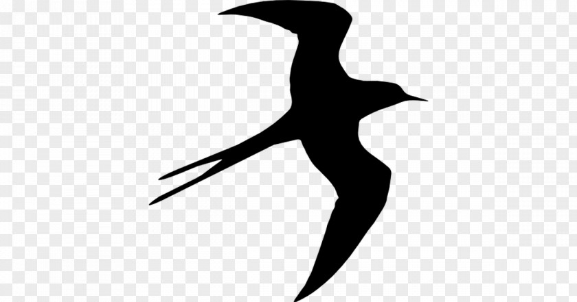 Silhouette Bird Swallow Beak Drawing PNG